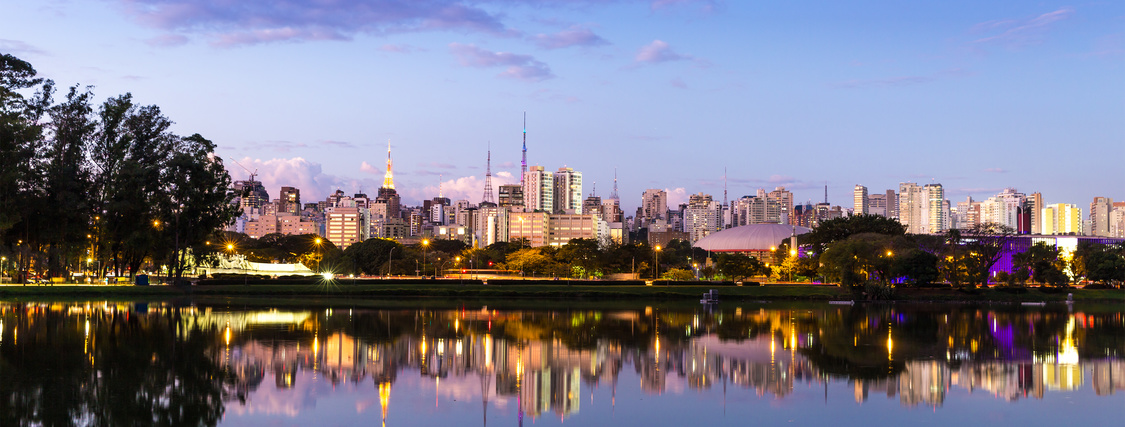 São Paulo City Tour. 4-Stunden-Privatfahrt mit englischsprachigem Chauffeur entlang Ihrer Lieblings-Sehenswürdigkeiten. Service- und Prozessqualität made in Germany. 